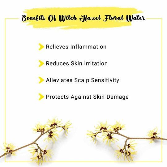 Witch Hazel Hydrosol Benefits