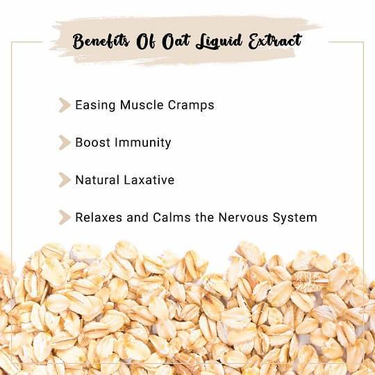 Oat Liquid Extract Benefits