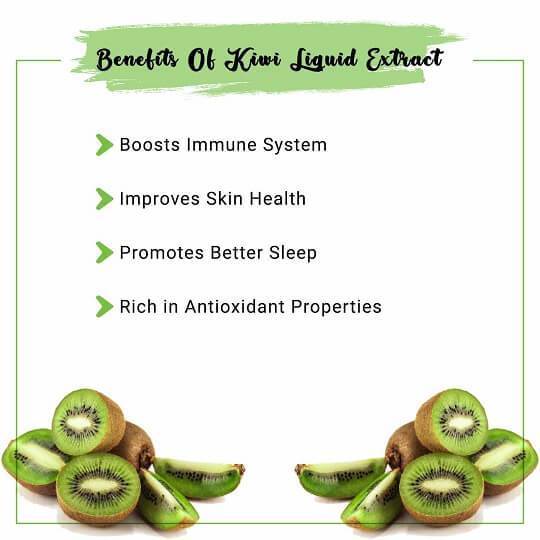 Kiwi Liquid Extract Benefits