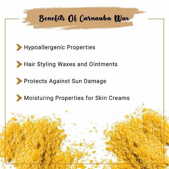 Organic Carnauba Wax Benefits