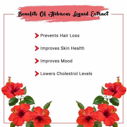 Hibiscus Liquid Extract Benefits