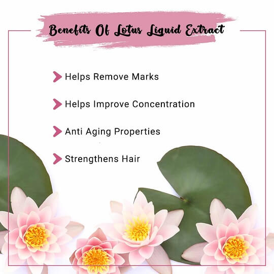Lotus Liquid Extract