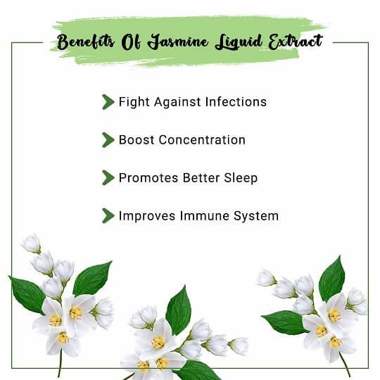 Jasmine Liquid Extract Benefits