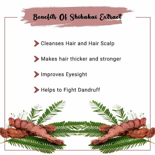Shikakai Liquid Extract