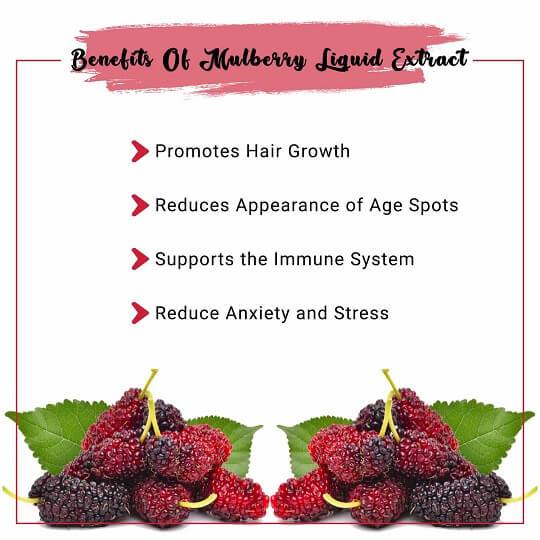 Mulberry Liquid Extract Benefits