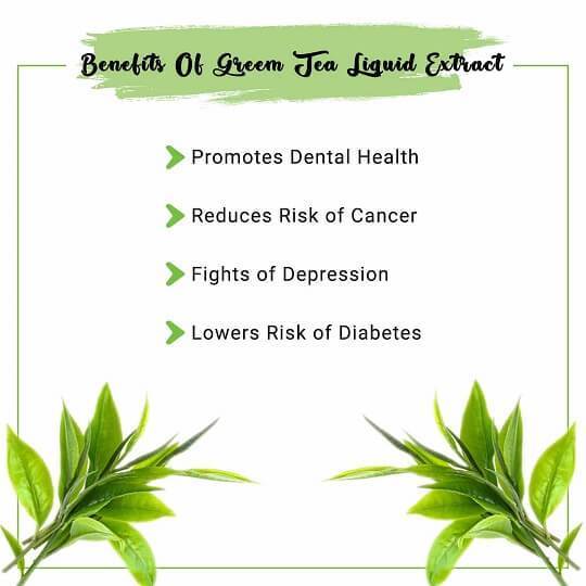 Green Tea Liquid Extract Benefits