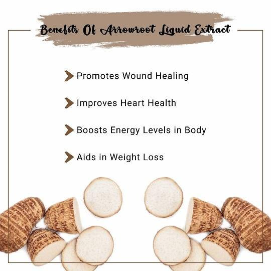 Arrowroot Liquid Extract Benefits