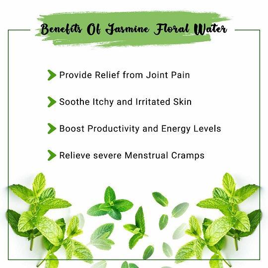 Peppermint Hydrosol Benefits