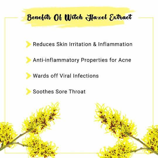 Witch Hazel Liquid Extract Benefits