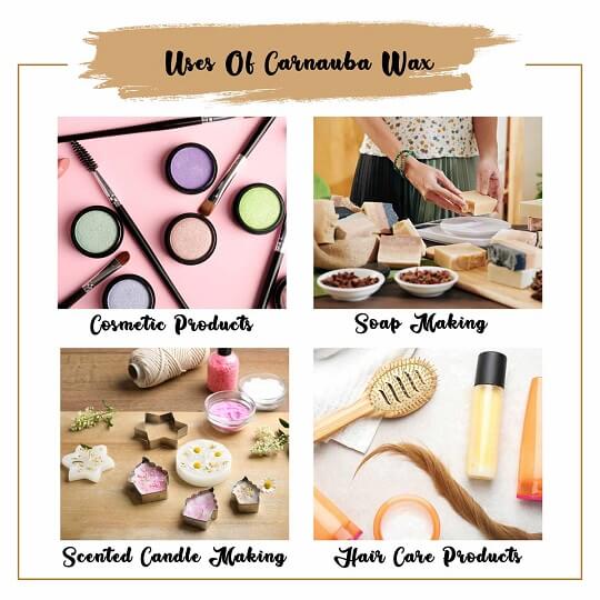 Organic Carnauba Wax Uses