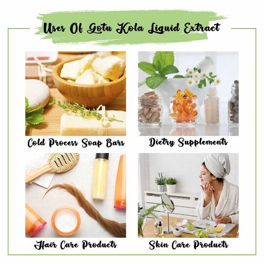 Gotu Kola Liquid Extract Uses