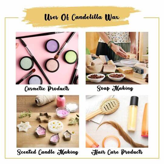 Candelilla Wax