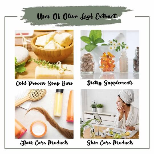Olive Leaf Extract Uses