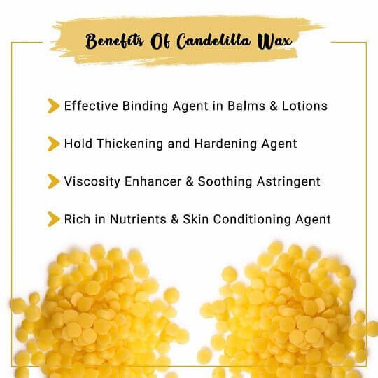 Buy Candelilla Wax Online 100 Organic Candelilla Wax at VedaOils US