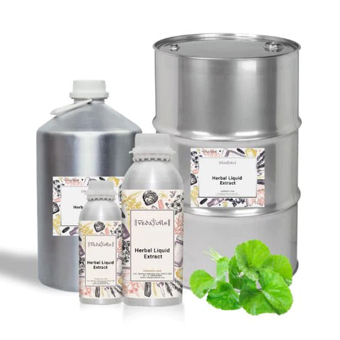 Gotu Kola Liquid Extract