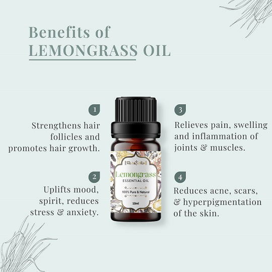 Citrus & Minty Essential Oils Set - Pack of 3 Oils
