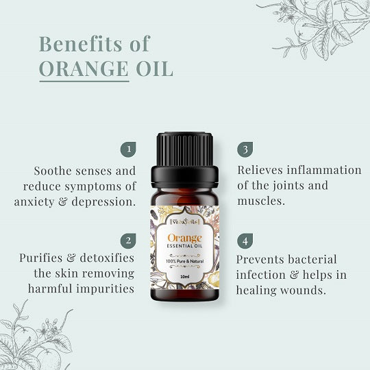 Citrus & Minty Essential Oils Set - Pack of 3 Oils