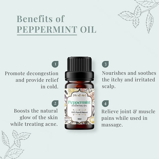 Citrus & Minty Essential Oils Set - Pack of 3 Oils