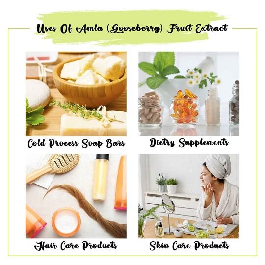 Amla (Gooseberry) Fruit Extract