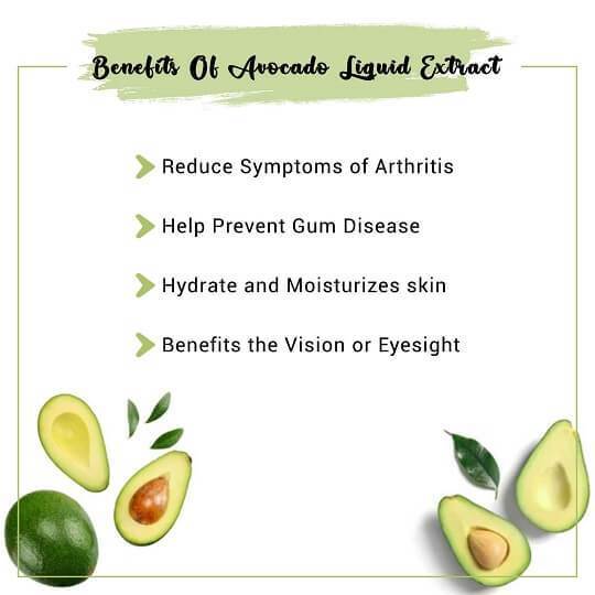 Avocado Liquid Extract Benefits