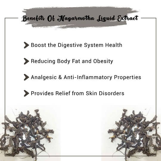 Nagarmotha Liquid Extract Benefits