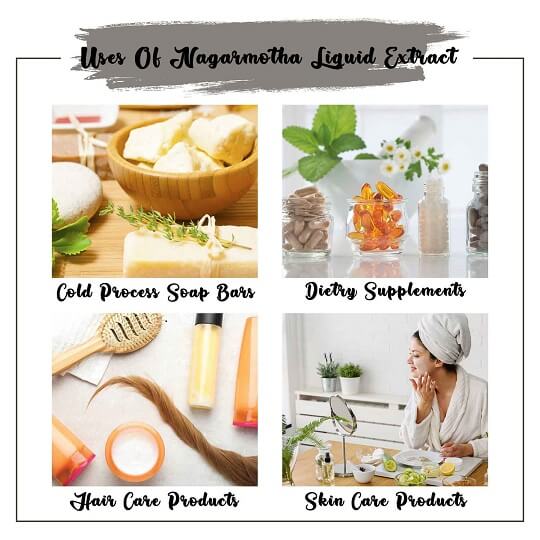 Nagarmotha Liquid Extract Uses