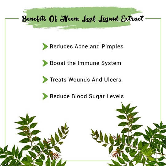 Neem Leaf Liquid Extract