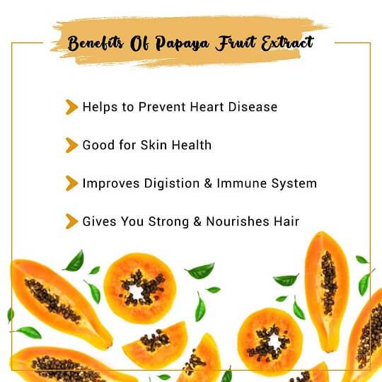 Papaya Fruit Extract Benefits