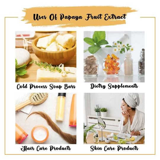 Papaya Fruit Extract USes