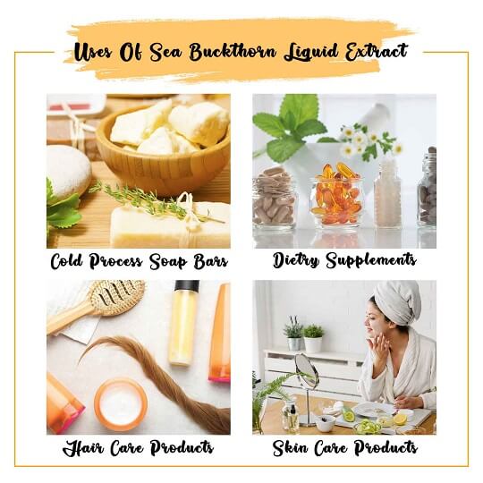 Sea Buckthorn Liquid Extract Uses
