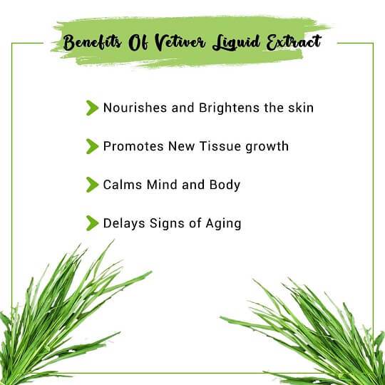Vetiver Liquid Extract Benefits