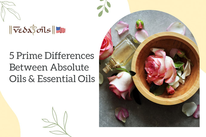 The Prime Differences Between Absolute Oils and Essential Oils