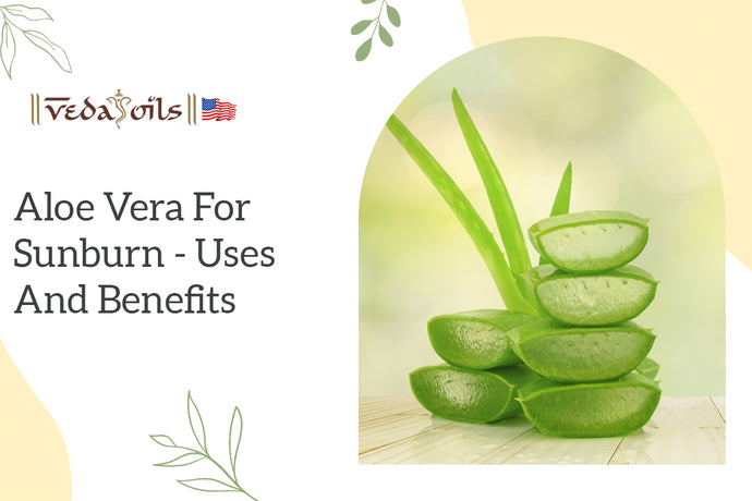 Aloe Vera Gel for Sunburn: Prime Benefits & How to use it