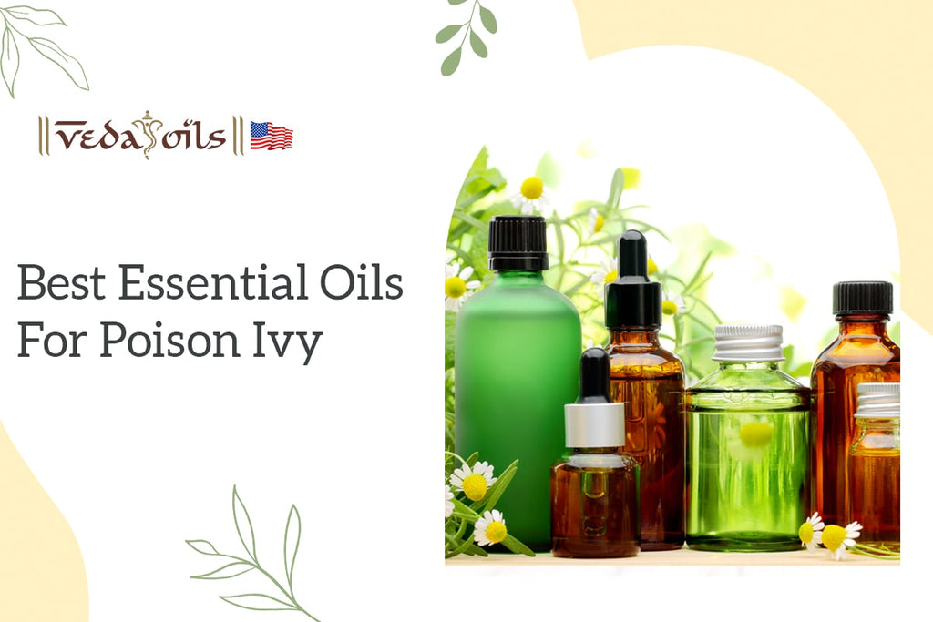 5 Best Essential Oils for Poison Ivy How To Use Them VedaOils USA