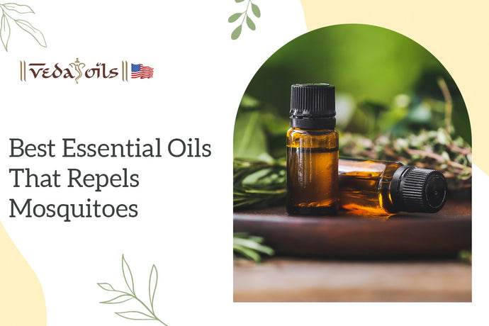 Complete list of Essential Oils that Repels Mosquitoes