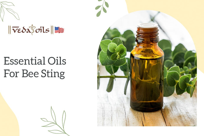 7 Most Effective Essential Oils for Bee Sting: How to Use them