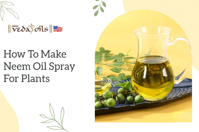 How to Make Neem Oil Spray for Plants