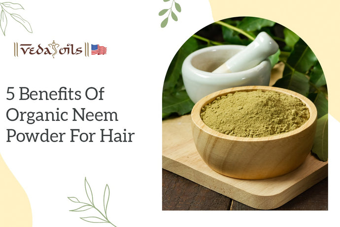 Organic Neem Powder for Hair: Benefits & How to Use