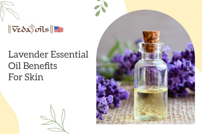 Lavender Essential Oil Benefits For Skin