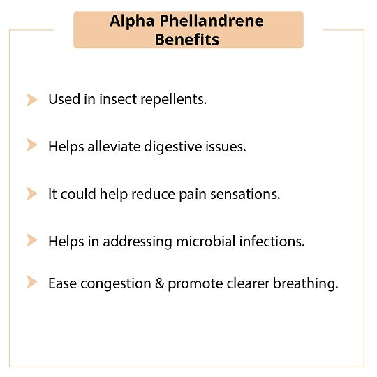 Alpha Phellandrene