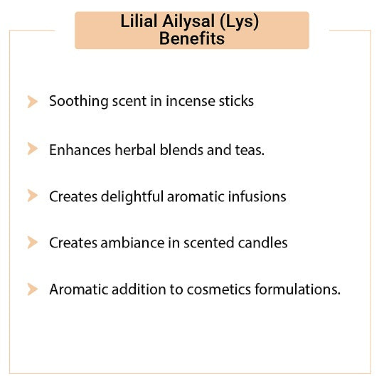 Lilial Ailysal