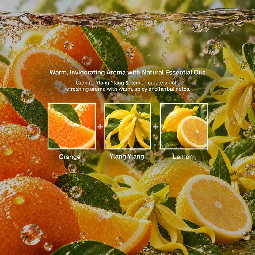 Ambience Oil Blend Ingredients
