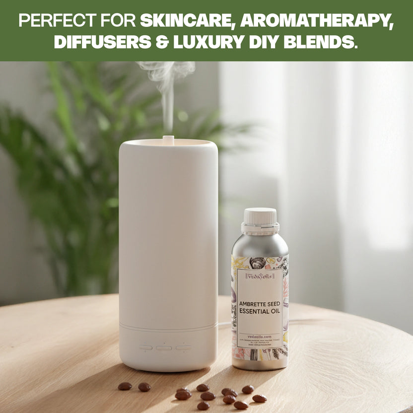 Ambrette_Seed_Essential_Oil_Best_For_Skincare