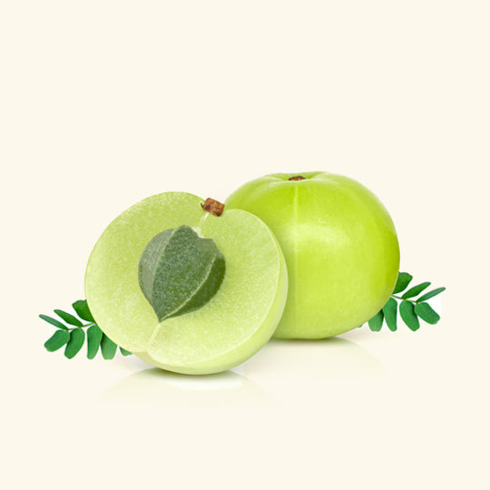 Amla (Gooseberry) Fruit Extract