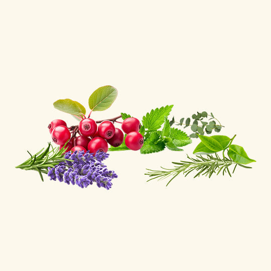Deep Muscle Relief Blend