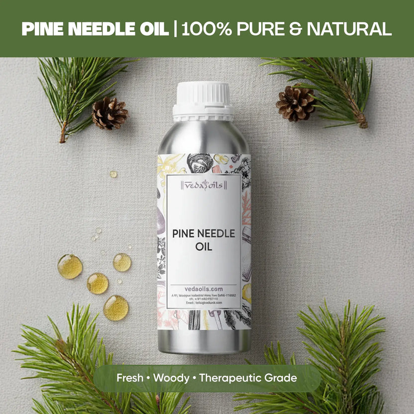 Pure Pine Needle Oil
