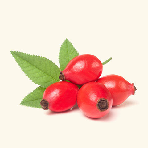 Rosehip Seed Oil