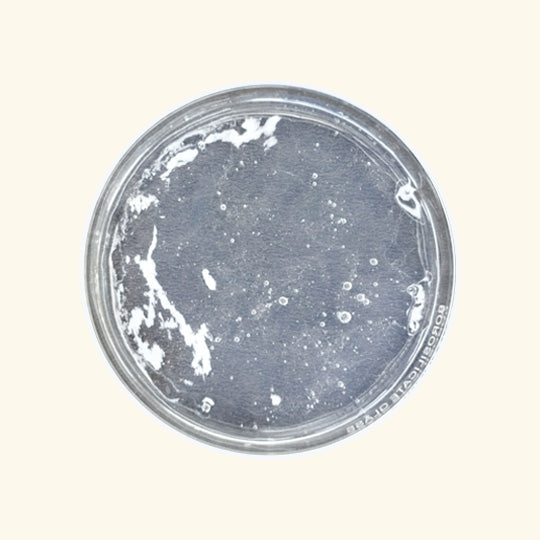 Transparent Face Wash Base Product