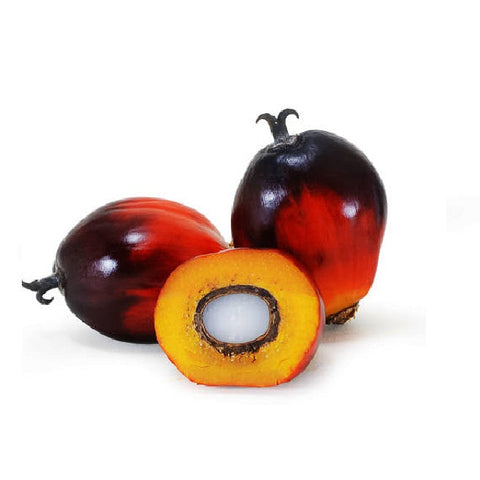 Palm Kernel Oil