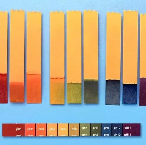 Ph Test Strips  - 1-14 Test Indicator